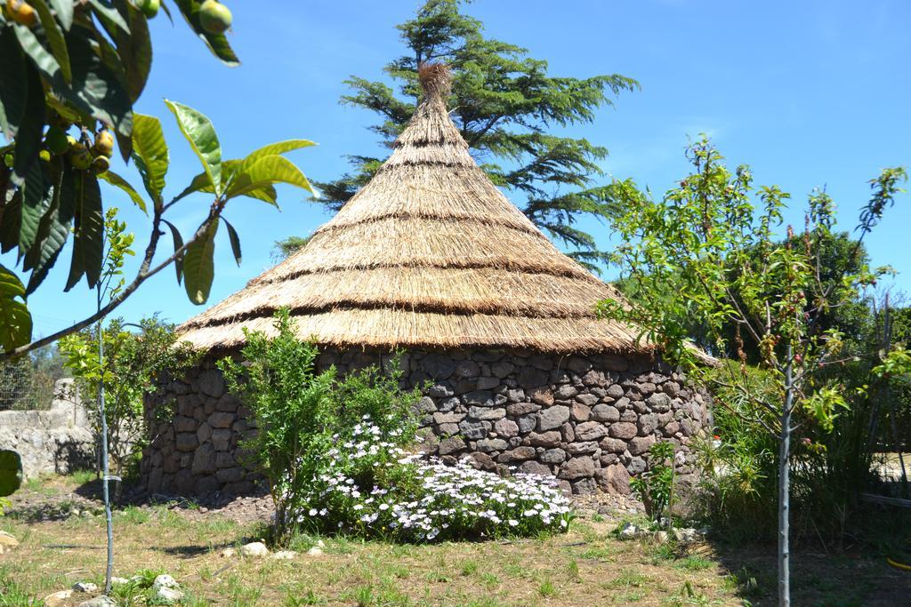 B&B Antica Botte Sassari Extérieur photo